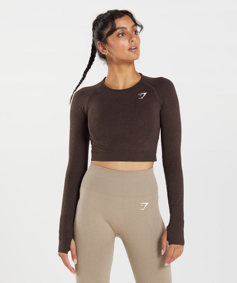 Women's Gymshark Vital Seamless 2.0 Cropped Tops Chocolate | NZ 8GPSFN